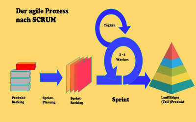 SCRUM Master & SCRUM Product Owner