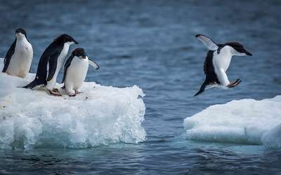 Linux Administrator LPIC 1